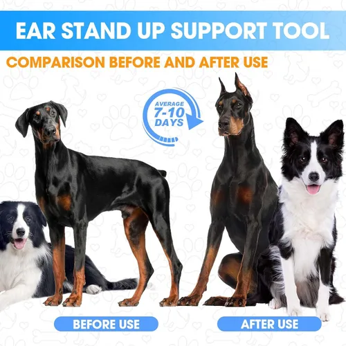 Vista 7 de Juego de 4 unidades de Doberman Oreja Kit para Doberman Pincher Samoyedo con 2 rollos adicionales de cintas para orejas de perro