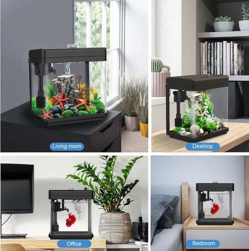 Vista 11 de AQQA Kits de acuario de 1.5 galones de escritorio para pecera pequeña
