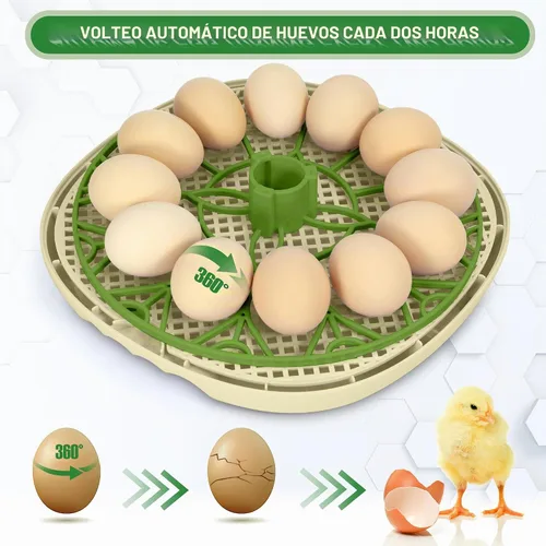 Vista 3 de Incubadoras inteligentes de pollo para incubar huevos con volteador automático, aves, pato, codorniz, incubadora de 12 huevos, pantalla de control