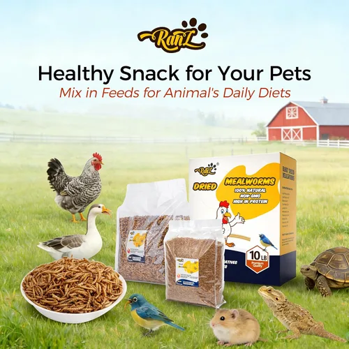 Vista 8 de RANZ 4.5 KG Gusanos secos sin OMGs para pollos, gusanos altos en proteínas, alimento premium para pollos, alimento perfecto para aves y golosinas