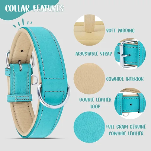 Vista 5 de Riparo Collar de perro de cuero ajustable – Collar de perro ancho resistente para perros pequeños, medianos, grandes y extra grandes con soporte Agua