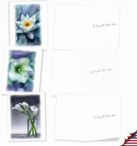 Vista 4 de The Best Card Company - 10 tarjetas de condolencias surtidas en caja (4 x 5.12 pulgadas) - Saludos de condolencia, duelo - Blooming Memories M6598SRG