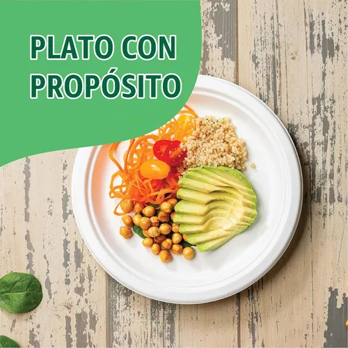 Vista 5 de Stack Man Platos de papel 100% compostables de 9 pulgadas, resistentes [paquete de 125] platos desechables ecológicos de bagazo blanco hechos