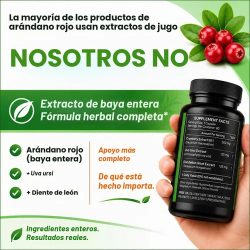 Vista 3 de Cápsulas de extracto de arándano 50:1 concentrado de fruta entera, con diente de león y Uva Ursi, fórmula herbaria de alta potencia, soporte