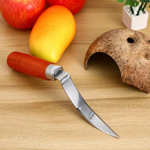 Vista 2 de UPKOCH - Removedor de carne de coco con mango de madera, rascador de acero inoxidable para cocina y hogar, 9.1 x 1.2 in, color marrón oscuro