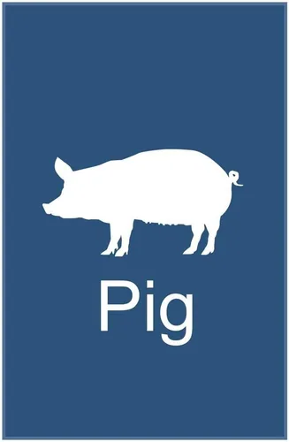 Vista 5 de Póster artístico de animales de granja con silueta de cerdo para el aula, diseño de granero, color azul fresco, decoración de pared, 12 x 18 pulgadas