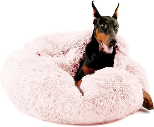 Vista 9 de Himax - Cama para perros pequeños cubierta con manta adjunta, color beige