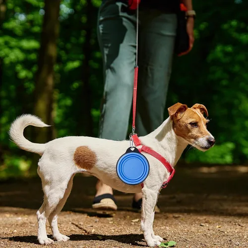 Vista 7 de SLSON Tazones plegables para perros y mascotas, paquete de 2 platos integrados moldeados para agua para gatos, dispensador de alimentos ligero