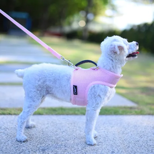 Vista 9 de Teacup - Juego de arnés y correa para perro pequeño para invierno, chaleco acolchado suave ajustable para taza de té, chihuahua, caniche, yorike