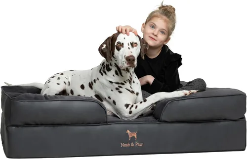 Vista 38 de NOAH & PAW Cama para perros pequeños, 20 x 15 x 8 pulgadas, cama para gatos de interior, espuma viscoelástica ortopédica de cáscara de huevo