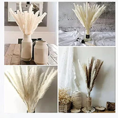 Vista 4 de 30 flores secas de junco, ramo de flores secas de hierba de las pampas, ramo de flores secas de ramas artificiales de pluma, 17 pulgadas, decoración