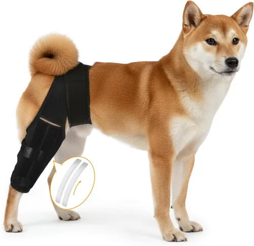 Vista 7 de Dog Knee Brace for Hind Leg – Adjustable Rear Leg Support with 2 PP Resin Bars, Helps Torn ACL, Ligament Injuries, Luxating Patella & Hip Dysplasia