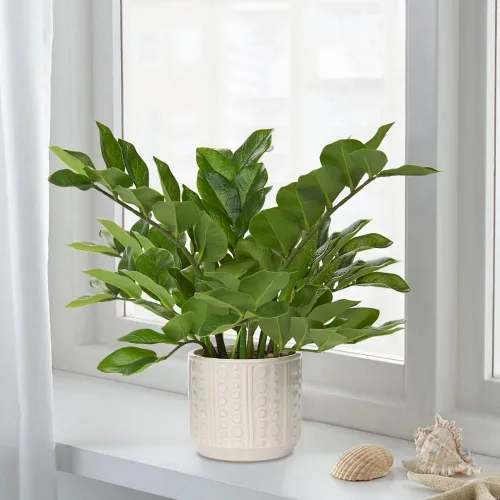 Vista 2 de Briful Planta artificial ZZ y cadena artificial de corazón con maceta de cerámica para el hogar, dormitorio, mesa, estante de oficina, decoración