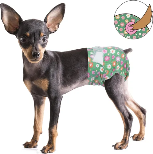 Vista 7 de Pet Soft Pañales para perras hembra, pañales desechables para perras, pañales para gatos y cachorros con agujero de cola de espuma ajustable