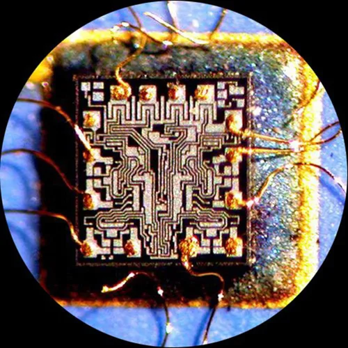 Vista 4 de Microscopio estéreo trinocular del zoom de AmScope SM-6TX, aumento 3.5X-45X