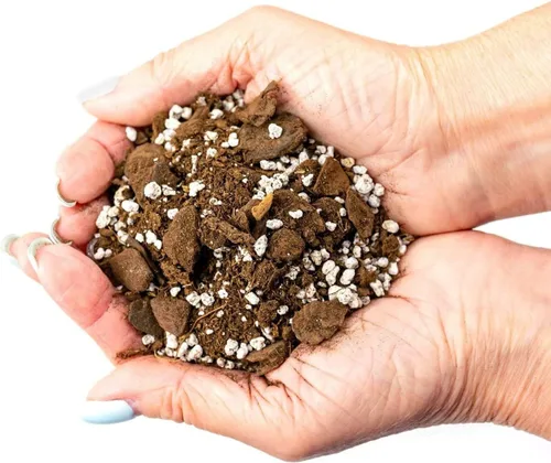 Vista 3 de GARDENERA Mezcla de tierra para macetas de aloe vera prémium (bolsa de 2 cuartos de galón)