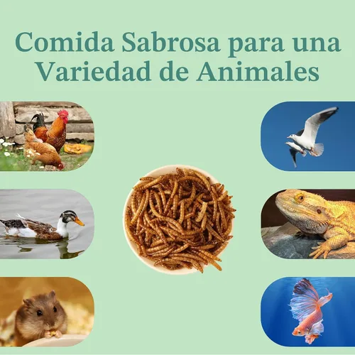 Vista 8 de WORMSKING Gusanos secos de harina de 2 libras para aves de corral, aves silvestres, sabrosa comida para pájaros