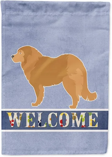 Vista 194 de Caroline's Treasures BB5552GF Affenpinscher Bandera de bienvenida para jardín, bandera decorativa para patio exterior, patio, parterres