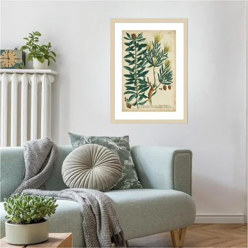 Vista 6 de Amanti Art Lienzo decorativo enmarcado para pared, 25 x 19 pulgadas, follaje y fruta de Weinmann n.º 4 por Johann Wilhem Weinmann, arte de pared