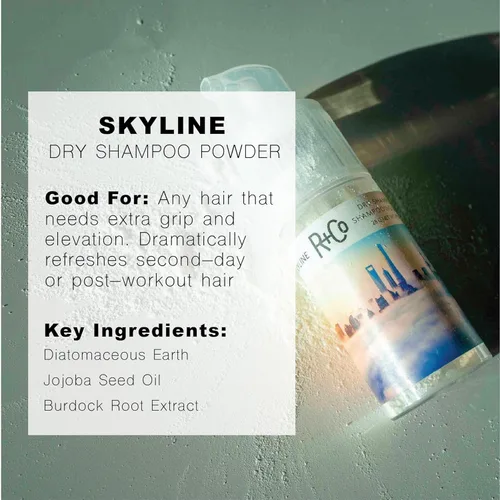 Vista 6 de R+Co Skyline Dry Champú en polvo Refresca dramáticamente, acondiciona sin peso + textura Vegano + libre de crueldad 1.0 onzas Oil-Absorbing