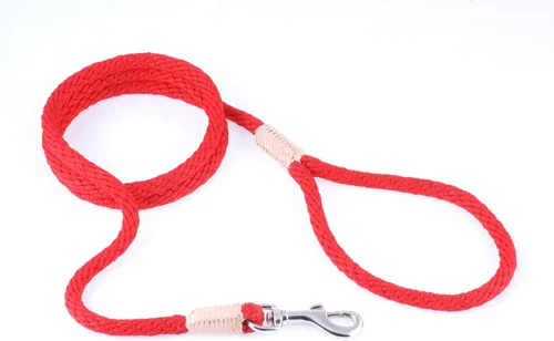 Vista 205 de Alvalley Correa para perros estilo broche – Correa de nailon estilo broche para perros – Fácil de manejar – Perfecto para perros pequeños, medianos
