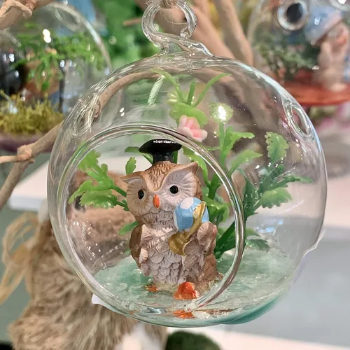 Vista 8 de WGV Globo de terrario colgante, ancho 3 pulgadas, altura 4 pulgadas, maceta de aire para suculentas, florero de vidrio transparente con parte