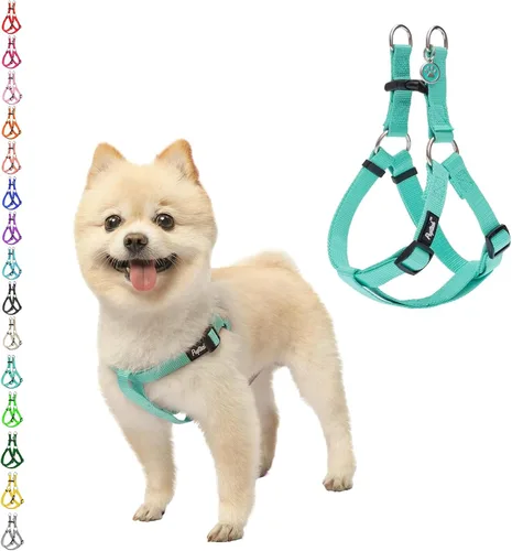 Vista 36 de Pupteck - Arnés para perros sin jalar, suave, ajustable, de nailon, talla básica, chaleco para cachorro, para caminar al aire libre con etiqueta