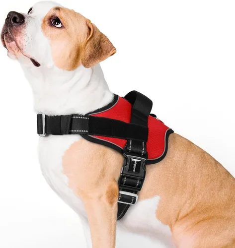 Vista 17 de rabbitgoo Arnés para perro pequeño, chaleco fácil de poner para mascotas con una hebilla, arnés de servicio ajustable sin tirones con anillo en D