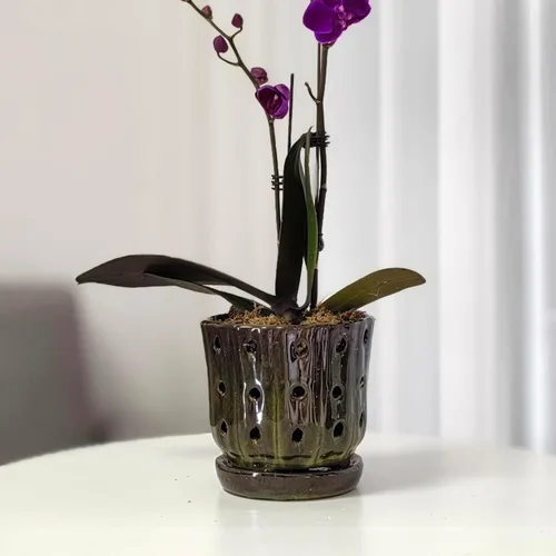 Vista 2 de Macetas para Orquídeas de 4.9 Pulgadas Macetas de Cerámica para Orquídeas con Agujeros Juego de 2 (verde musgo+blanco)