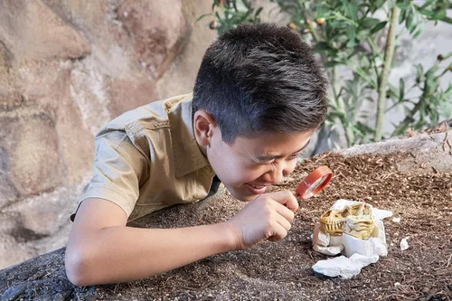 Vista 7 de Robo Alive Mega Dino Fossil Find (Brontosaurios) por ZURU Dig and Discover, STEM, Excavar fósiles prehistóricos, juguetes de dinosaurio, juguetes