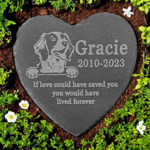 Vista 3 de Memorial personalizado de American Staffordshire Terrier, lápida de American Staffordshire Terrier, condolencias por pérdida de American