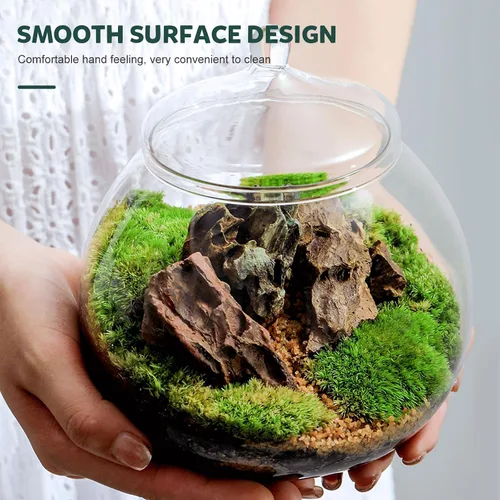 Vista 2 de Angoily Terrario de vidrio, tarros grandes transparentes con tapa, florero de terrario para plantas