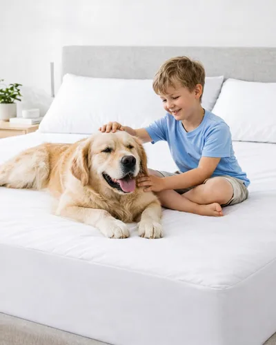 Vista 5 de HUPPER Queen Premium Box Spring Encasement - Impermeable - Transpirable - Sin ruido - Se adapta a hasta 9 pulgadas Blanco