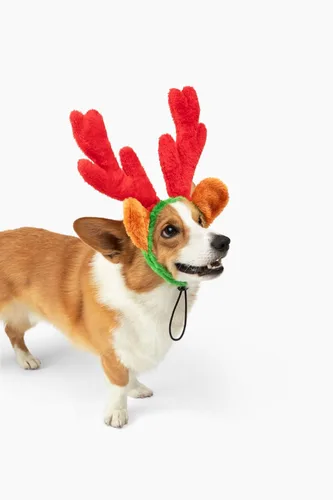 Vista 4 de Cuernos de reno de Navidad con orejas para grandes perros por Midlee