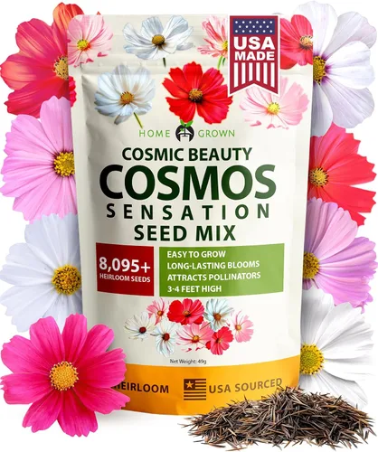 Vista 165 de HOME GROWN Bachelor Button Tall Mix 700+ Semillas de flores Centaurea
