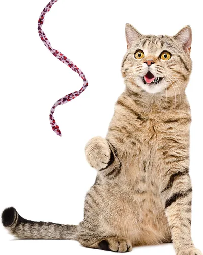 Vista 4 de Sumind 3 piezas de varita de gato de la selva para gato, teaser encantador, juguetes interactivos divertidos varita gatito juguete, 3 estilos
