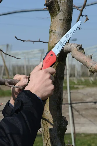 Vista 3 de FELCO 611 Sierra de podar – Sierra recta de tracción para poda de árboles y silvicultura Cortador de ramas de árbol Sierra de mano con hoja