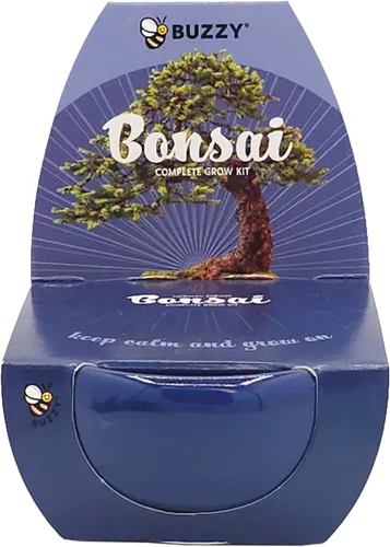 Vista 9 de BUZZY El kit de cultivo de árboles bonsái incluye pino austriaco negro, ciprés de Monterey, abeto azul, abeto noruega con macetas crujientes verdes