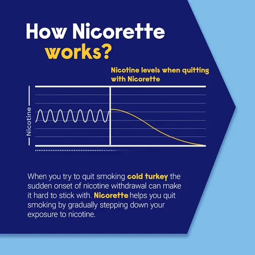 Vista 4 de Nicorette Goma de mascar de nicotina de 4 mg para ayudar a dejar de fumar con el programa de apoyo conductual, ayuda para dejar de fumar con sabor a