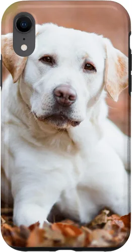 Vista 25 de Labrador Retriever Dog Lover - Carcasa para iPhone 17
