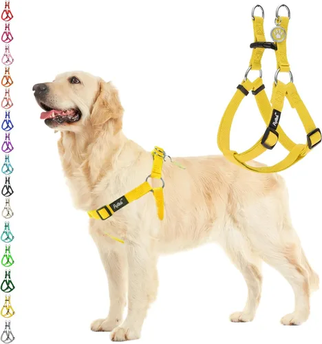 Vista 39 de Pupteck - Arnés para perros sin jalar, suave, ajustable, de nailon, talla básica, chaleco para cachorro, para caminar al aire libre con etiqueta