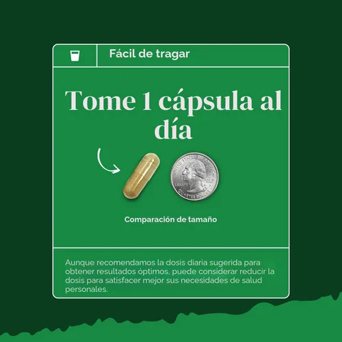 Vista 8 de Extracto de palma enana americana extra fuerte, complejo de hierbas avanzado para la salud del cabello y apoyo urinario con esteroles vegetales