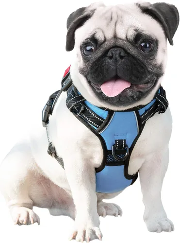 Vista 6 de PHOEPET Arnés para perro sin tirones, chaleco reflectante ajustable con asa de entrenamiento, bolsillo para identificación con nombre, 2 ganchos