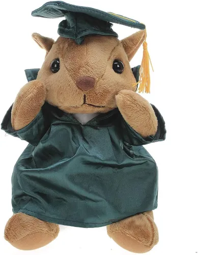 Vista 7 de Plushland Juguetes de peluche de ardilla, regalos para el día de graduación, texto personalizado, nombre o logotipo de tu escuela en el vestido, lo
