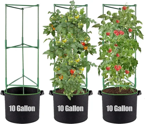 Vista 8 de ANPHSIN Jaula de tomate triangular resistente con bolsas de cultivo móviles de 7 galones, 3 juegos de macetas de enrejado de jardín de 47 pulgadas