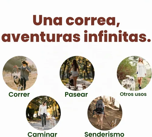 Vista 7 de Correa de perro manos libres para 2 perros con asas acolchadas y bolsa