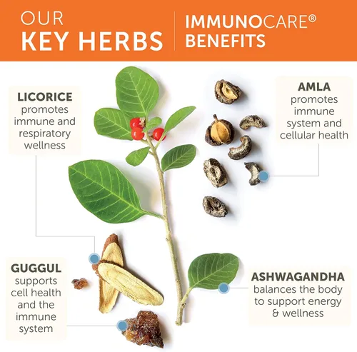 Vista 4 de Himalaya ImmunoCare - Suplemento de apoyo inmunológico a base de hierbas con Ashwagandha y Amla - Vegano, sin OMG, sin gluten, 840 mg, 120 cápsulas