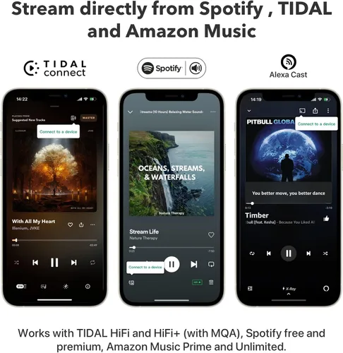 Vista 7 de WiiM Pro AirPlay 2 Receptor, Google Cast Audio, Transmisor Multisala WiFi, Compatible con Alexa, Siri y Google Assistant, Transmite Audio de Alta