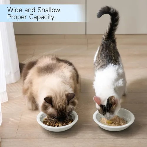 Vista 4 de CEEFU Tazones de cerámica más gruesos para comida y agua para gatos, 3 unidades, platos para gatos sin estrés, alivia la fatiga, plato de comida