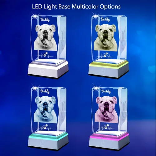 Vista 3 de Marco de fotos de cristal 3D personalizado con luz nocturna para mascotas conmemorativo con mis fotos, regalo de aniversario de Navidad